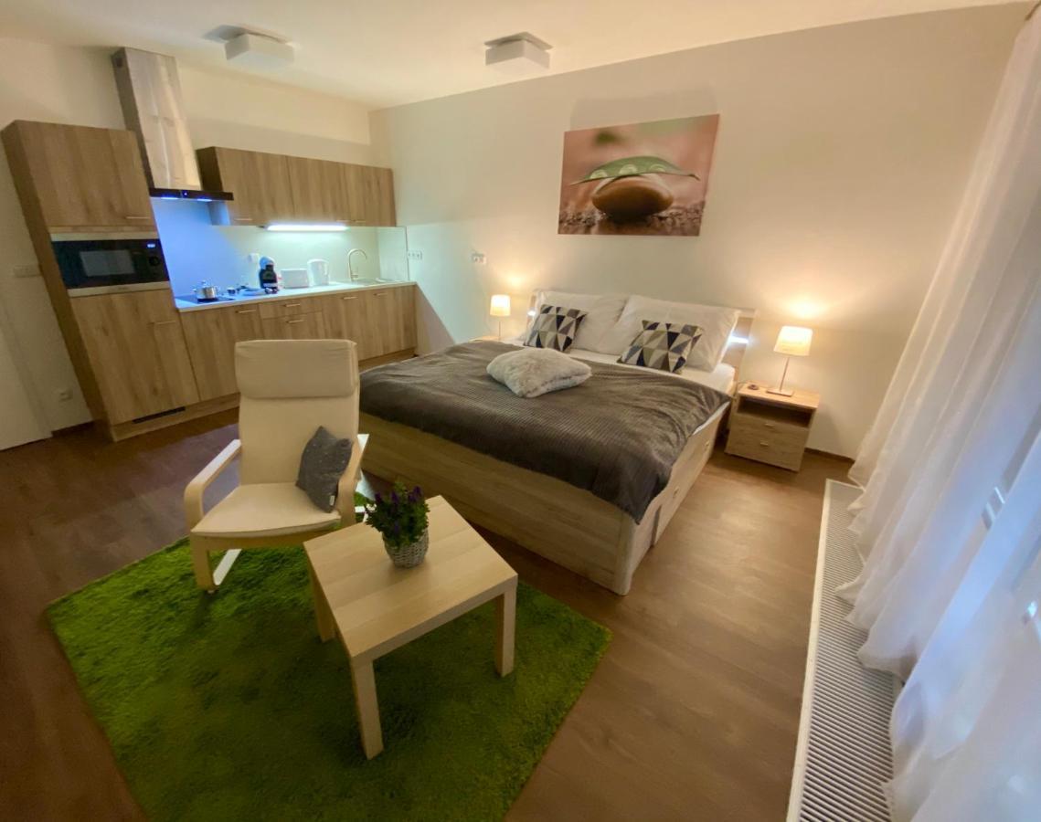 Apartmany Duo トレボン エクステリア 写真